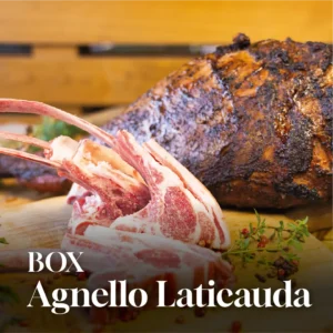 Box Agnello Laticauda