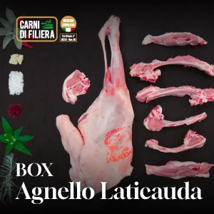 Box Agnello Laticauda