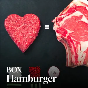 Box Hamburger