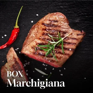 Box Marchigiana