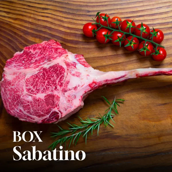Box Sabatino