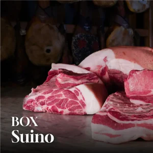Box Suino