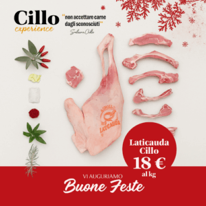 Box Agnello Laticauda