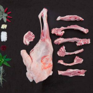 Box Agnello Laticauda