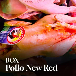 Box Pollo New Red