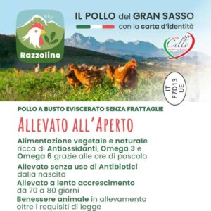 Pollo Gran sasso